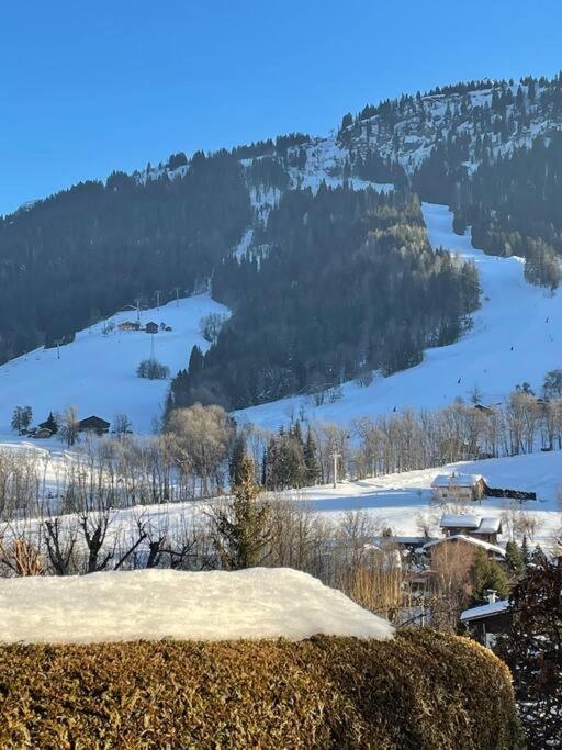 Charmant Studio + Jardin Vue Pistes Et Local Velo Praz-sur-Arly Exteriér fotografie